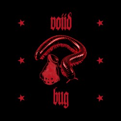 Bug