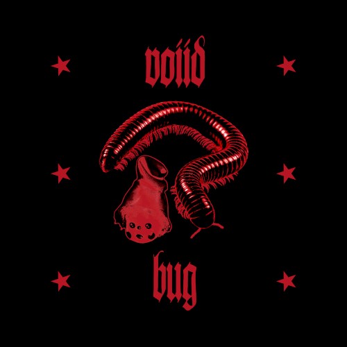 Bug