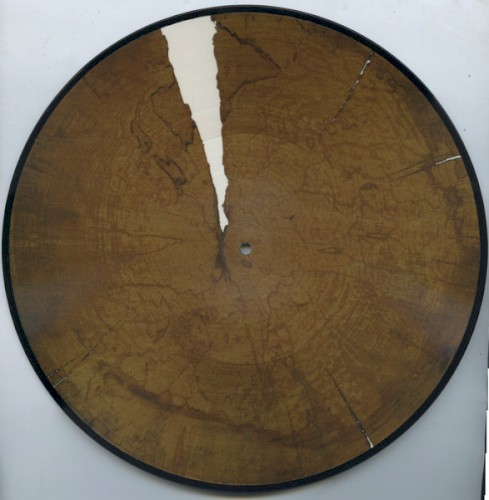Woodscratcher