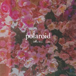 Polaroid