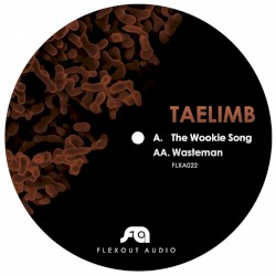 The Wookie Song / Wasteman