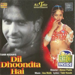 Dil Dhoondta Hai