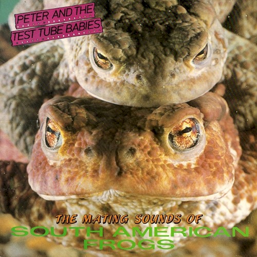 The Mating Sound of South American Frogs