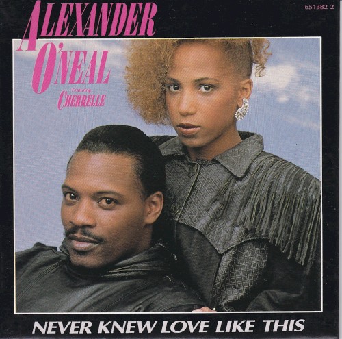 Never Knew Love Like This