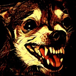 Vorax