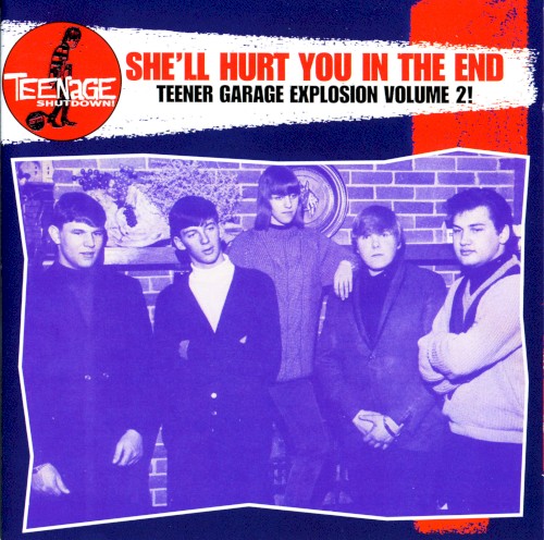 Teenage Shutdown! She'll Hurt You in the End