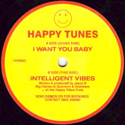 I Want You Baby / Intelligent Vibes
