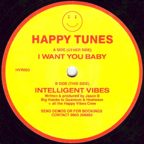 I Want You Baby / Intelligent Vibes