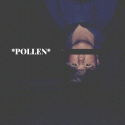 Pollen
