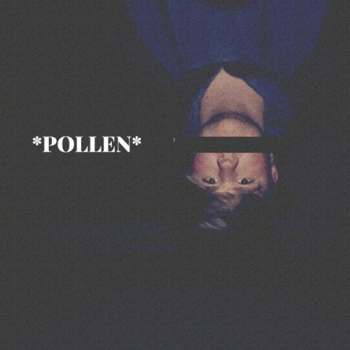 Pollen