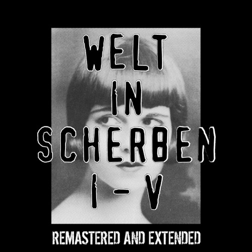 Welt in Scherben I–V