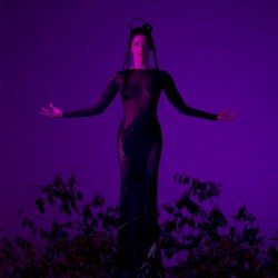 Luz e Sombras