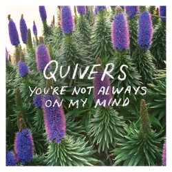 You're Not Always on My Mind