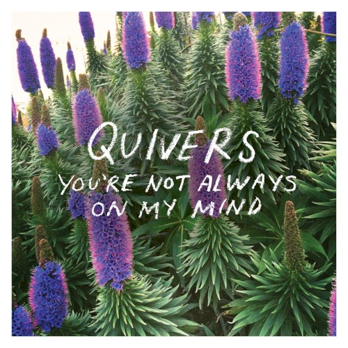 You're Not Always on My Mind