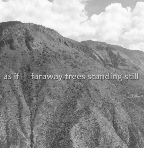 Faraway Trees Standing Still