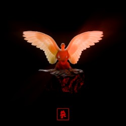 ICARUS