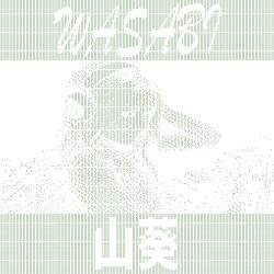 Wasabi