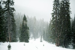 Quiet Winter