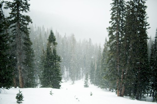 Quiet Winter