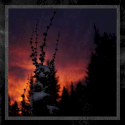 Nocturnal Womb