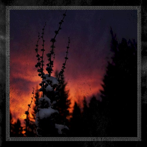 Nocturnal Womb