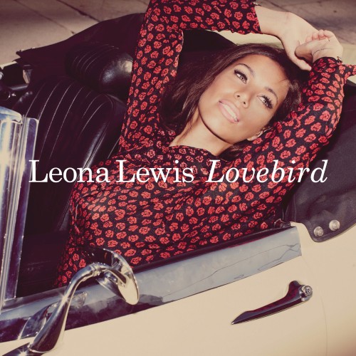 Lovebird
