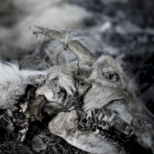 When Death Comes