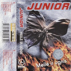 Meilė ir ugnis