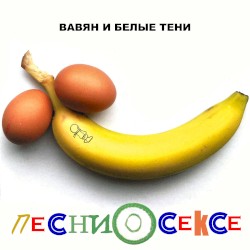 Песни о сексе