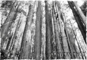 Convergence