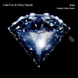Joya (Vintage Culture remix)