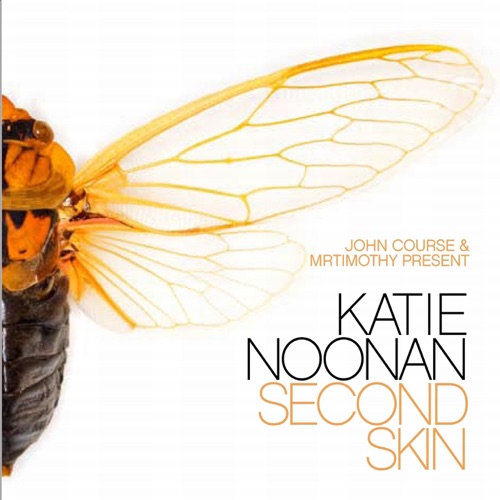 John Course & Mrtimothy Present Second Skin, the Katie Noonan (remix album)