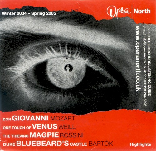 Winter 2004 - Spring 2005: Highlights