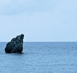 Architeuthis