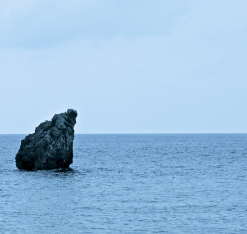 Architeuthis