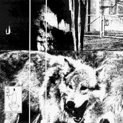 Fertile Deep Wolf