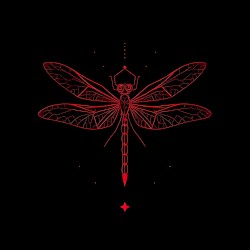 Dragonfly (Shay. remix)
