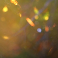 warmth, flickering