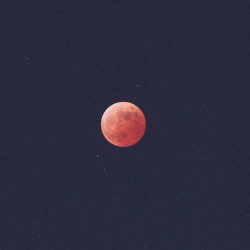 MOONLIGHT