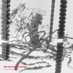 vita brevis, ars longa