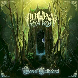 Forest Cathedral