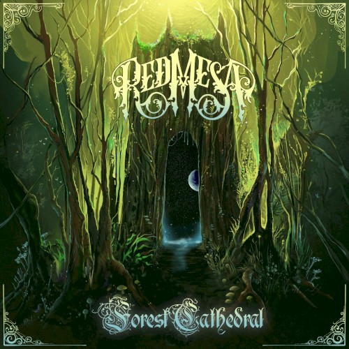 Forest Cathedral