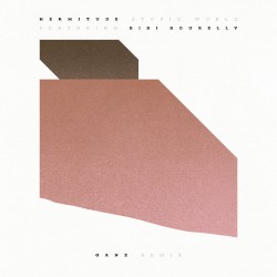 Stupid World (GANZ Remix)