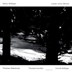 Lieder ohne Worte