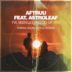 I've Been Letting Go of You (Remixes)