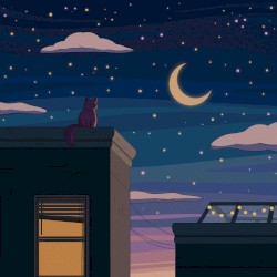City Nights
