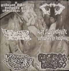 6-Way Split