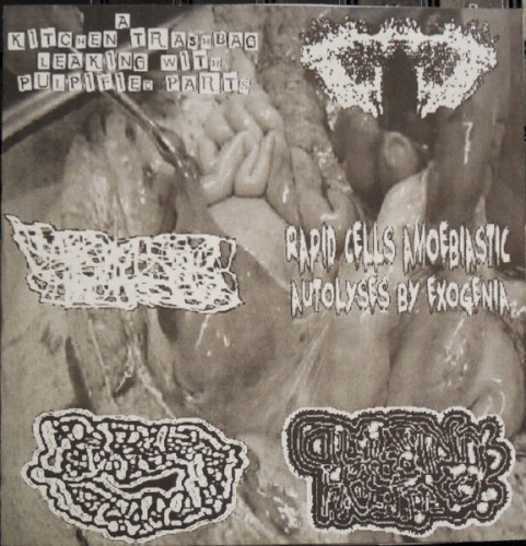 6-Way Split