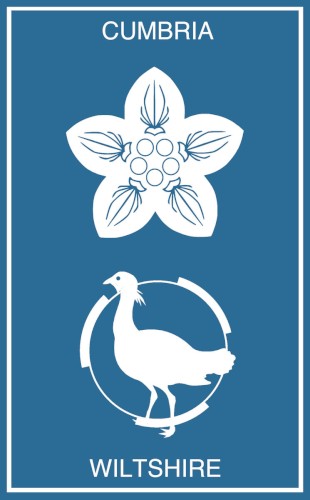 Ceremonial County Tapes Vol.XXIV - Cumbria | Wiltshire