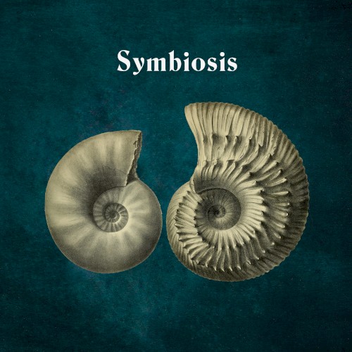 Symbiosis